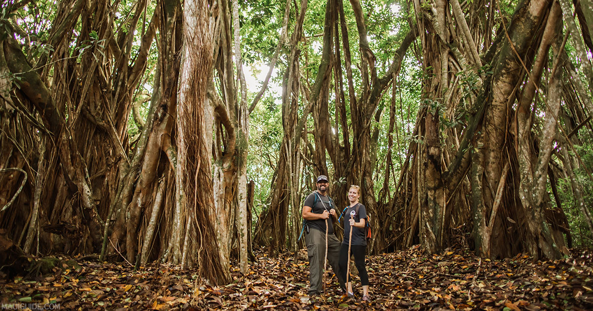Honolua Ridgeline Hike