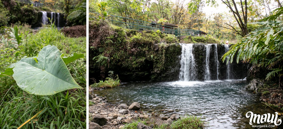 waterfalls in Hana, Maui, Hawaii