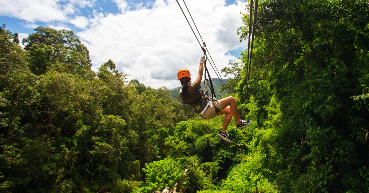 Zipline Treetops