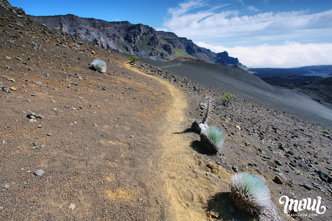 Haleakala Hiking Tour