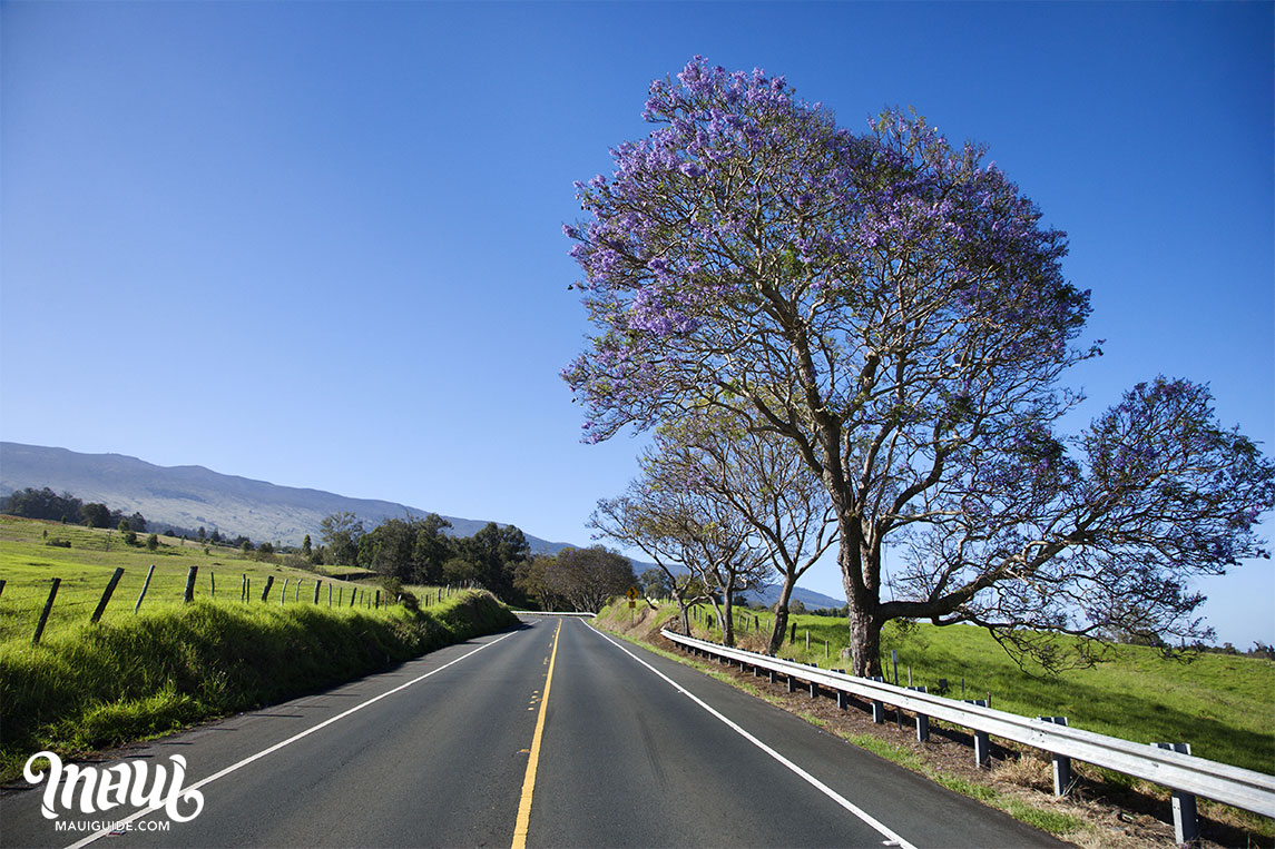 Haleakala Road