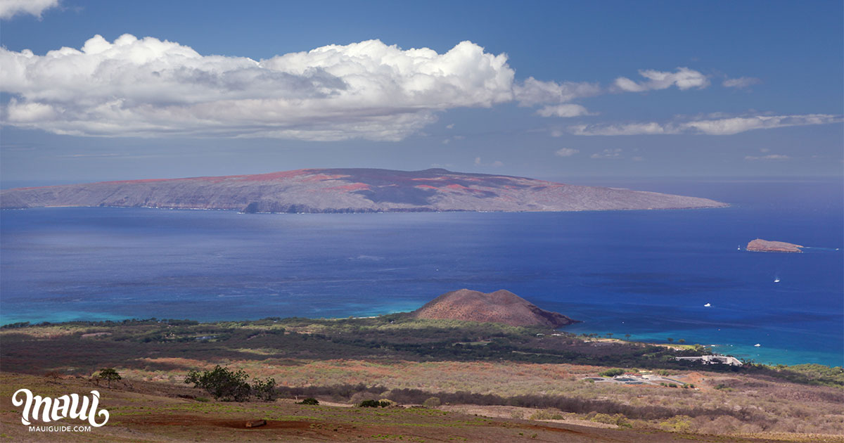 Backside Ulupalakua