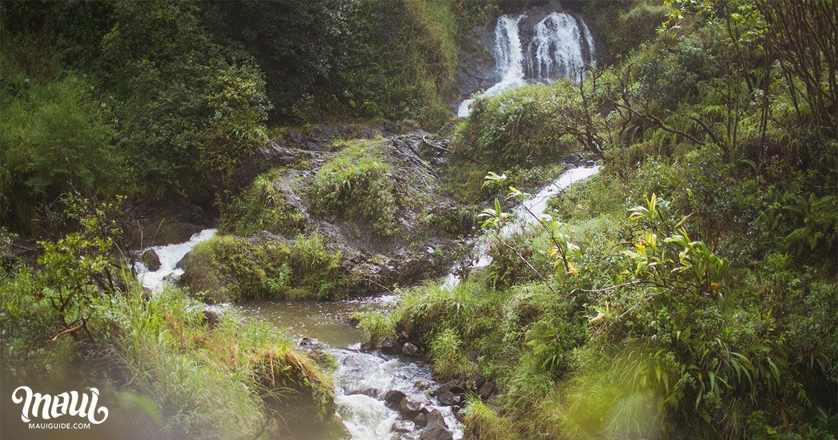 Hanawi Falls Streams