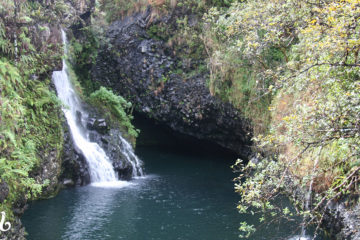 Hanawi Falls View