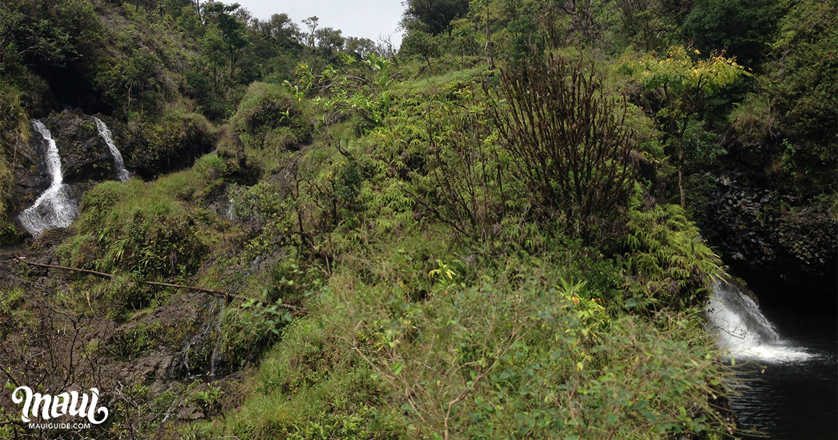 Hanawi Falls 2 Waterfalls