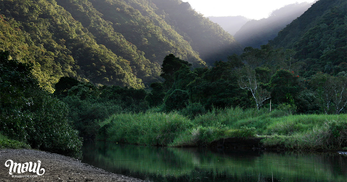 Honomanu Bay Stream