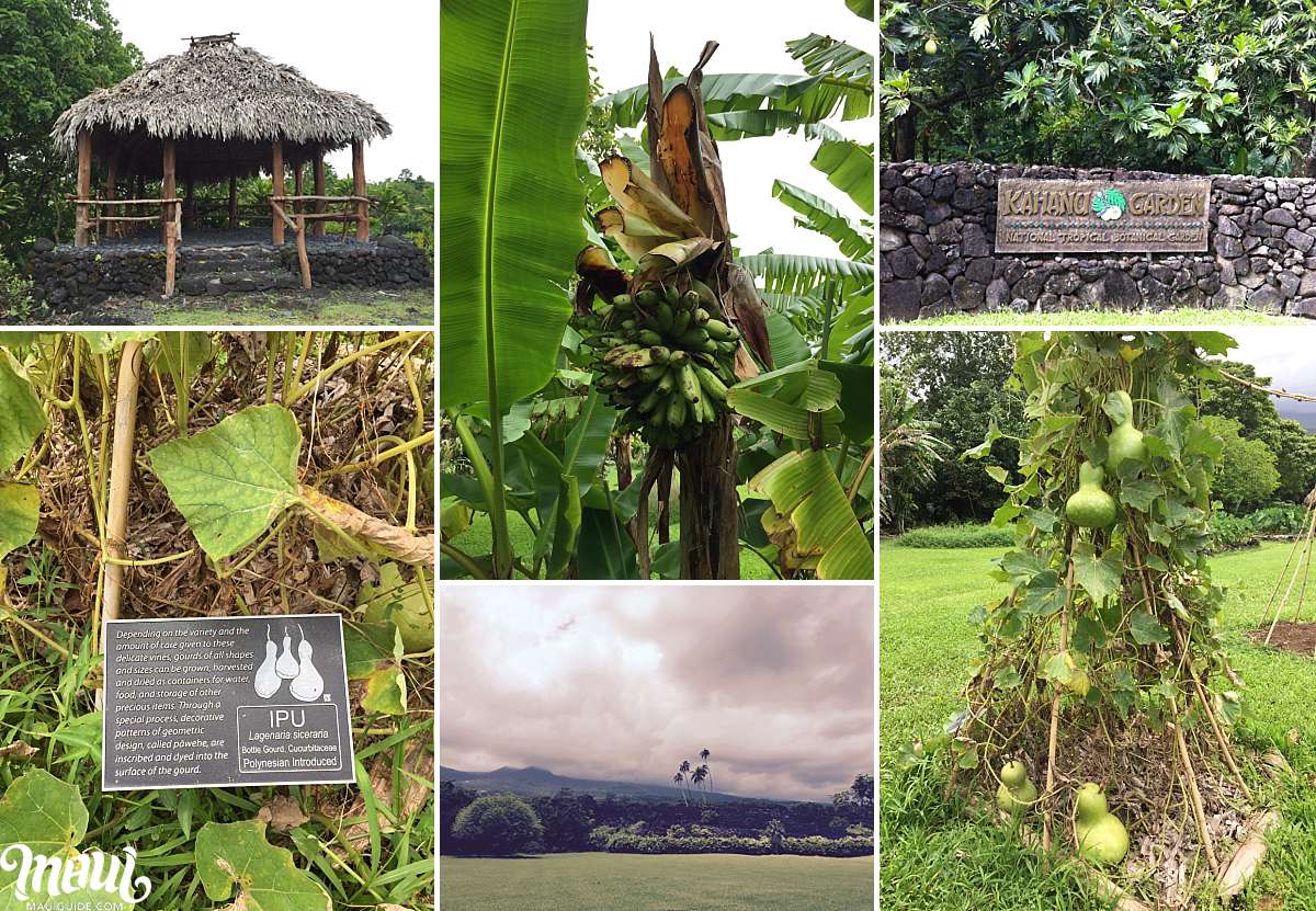 Kahanu Garden Experience