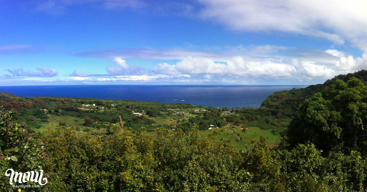 Wailua Valley State Wayside Ocean View