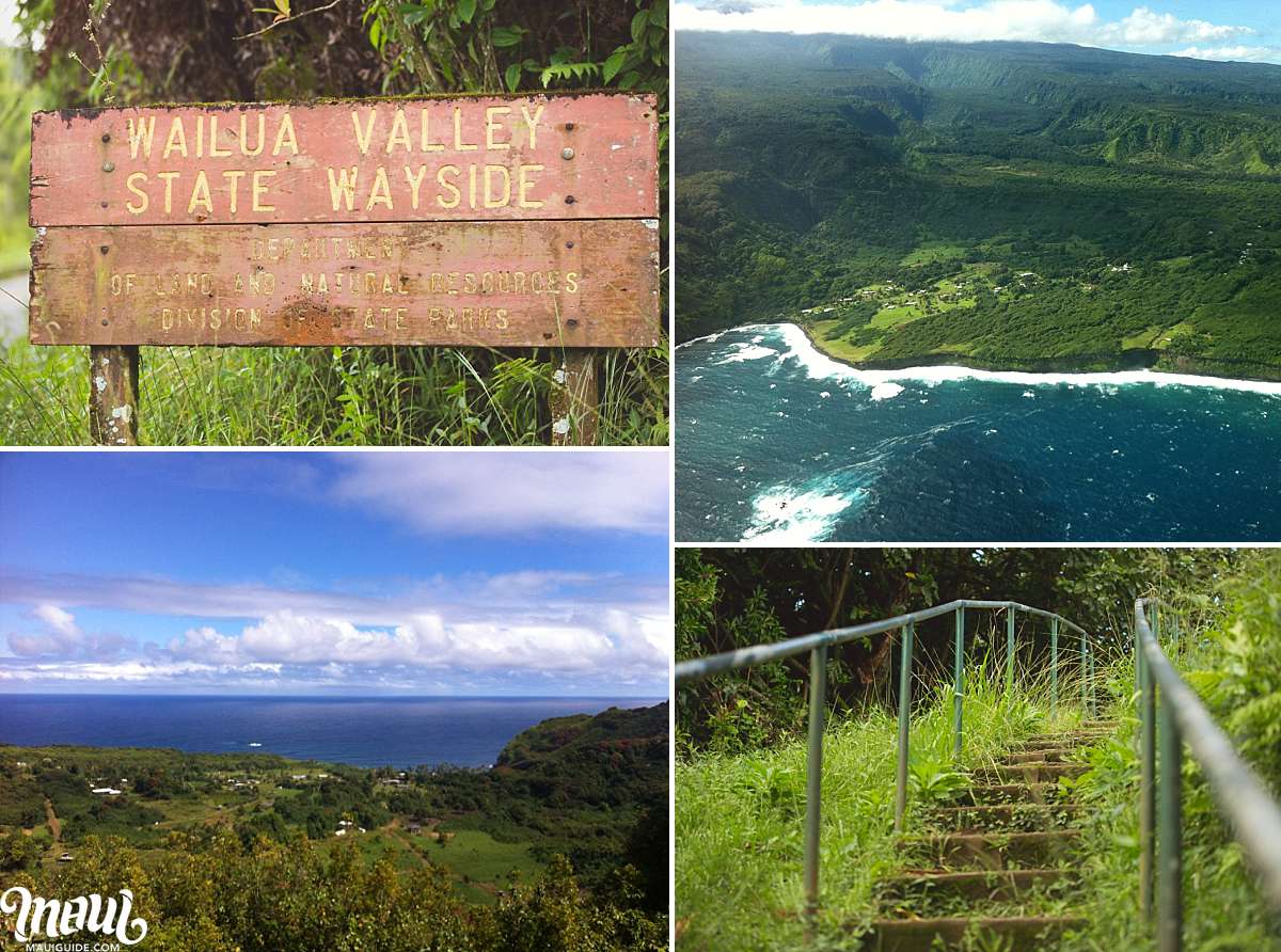 Wailua Valley State Wayside Experience