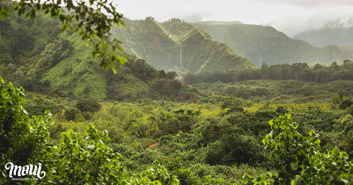 Wailua Valley Waterfalls