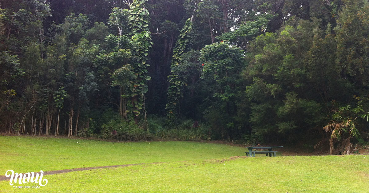 Kaumahina Wayside Park Grass Field