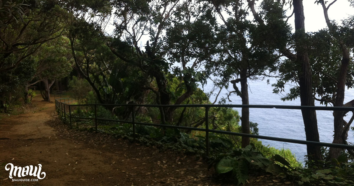 Kaumahina Wayside Park Trail View