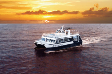 Quicksilver Maui Sunset Cruise