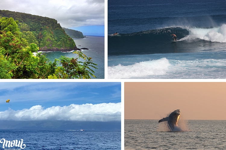 Maui Seasons Hana Surf Parasail Whale