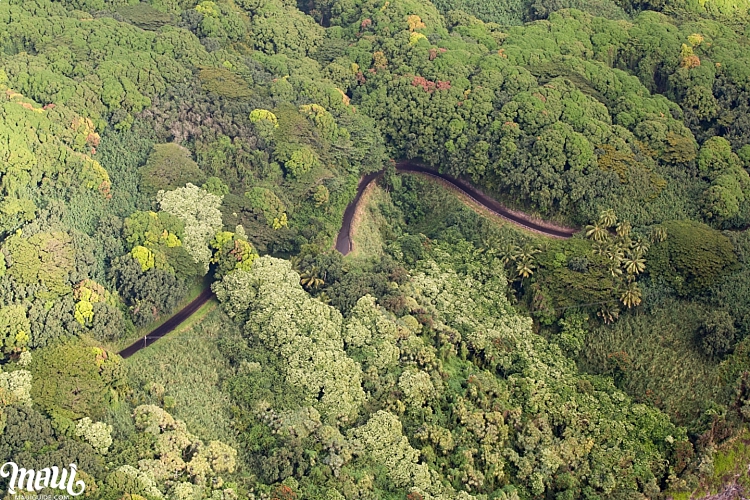 Maui Seasons Road To Hana