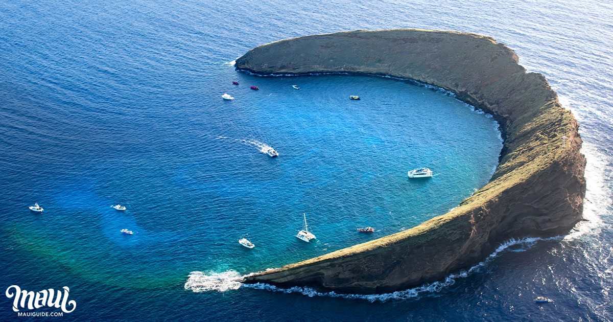 Maui Through The Seasons
