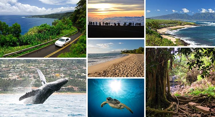 Maui Travel Tips Activities