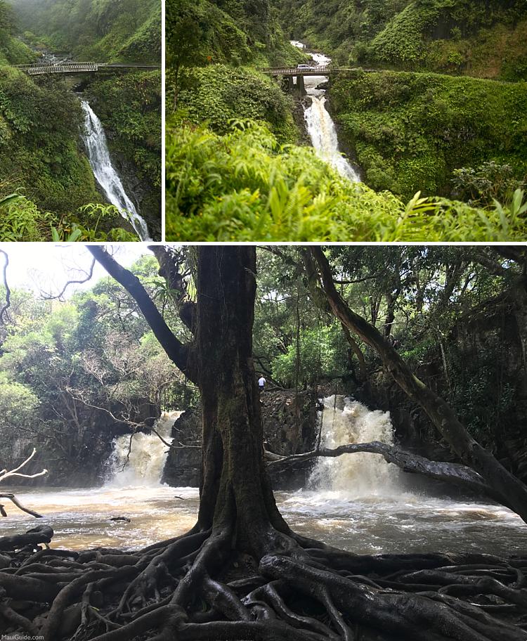 Maui Travel Tips Flash Flood