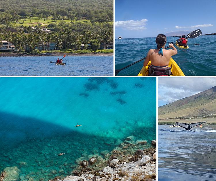 Maui Travel Tips Kayaking