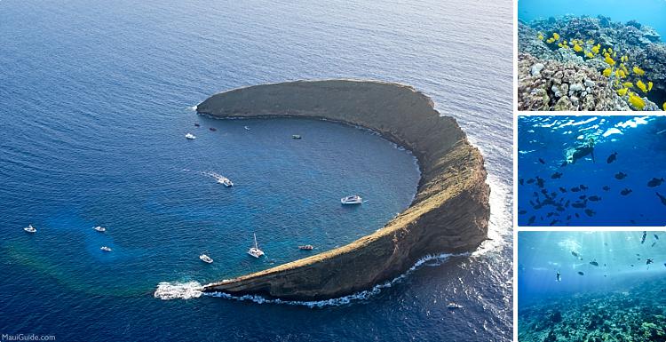 Maui Travel Tips Snorkeling