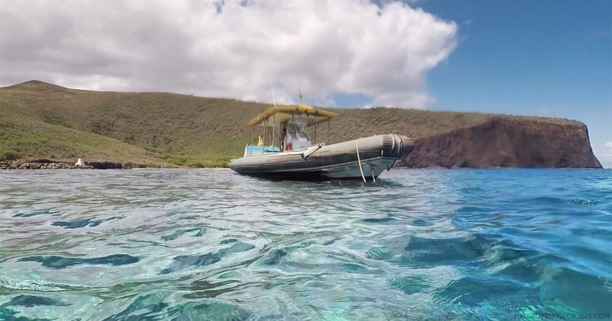 Lanai Snorkeling Review - Maui Adventure Cruises