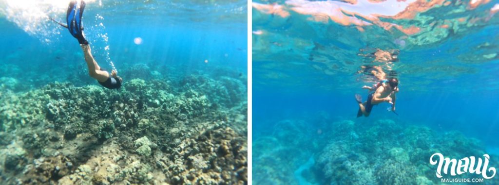 snorkeling Lanai Island