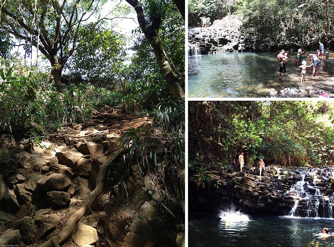 Twin Falls Maui Journey