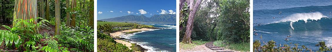 Twin Falls Maui Nearby Spots