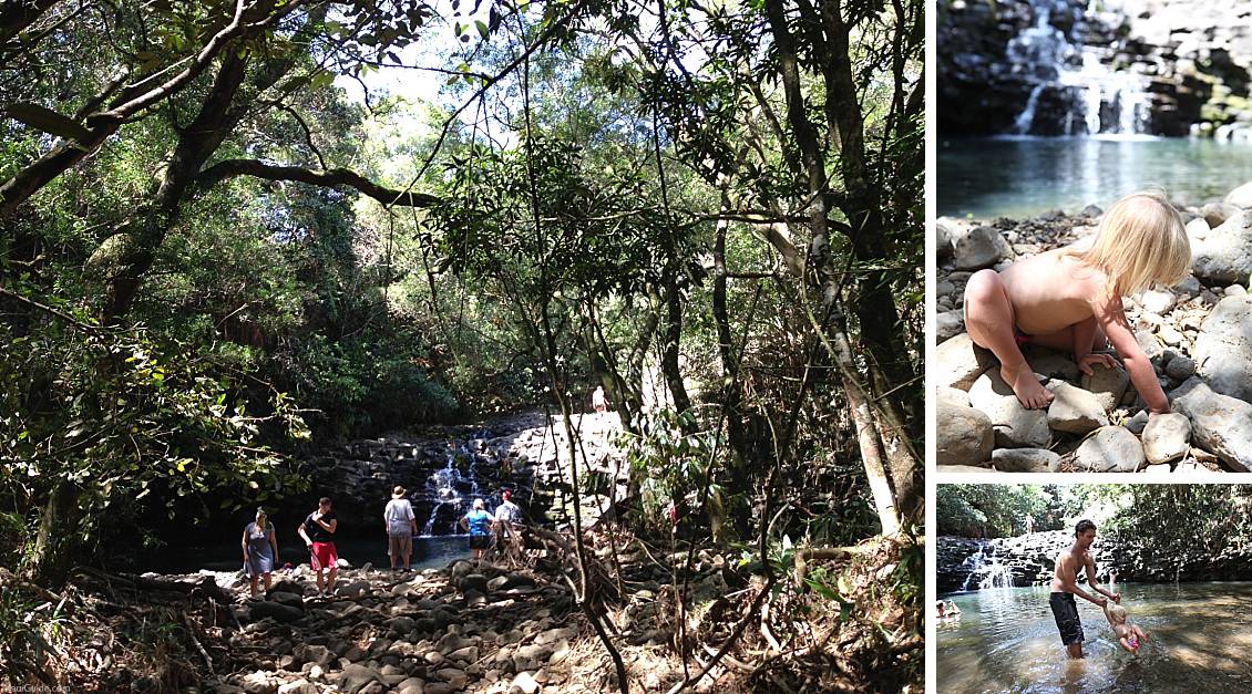 Twin Falls Maui On The Hike