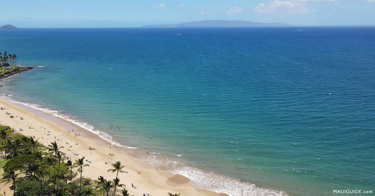 Maui Coast Hotel Review