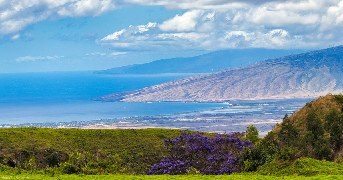 Ultimate Maui Bucket List For Outdoor Enthusiasts Maui Guide