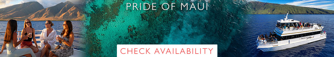 Pride of Maui banner