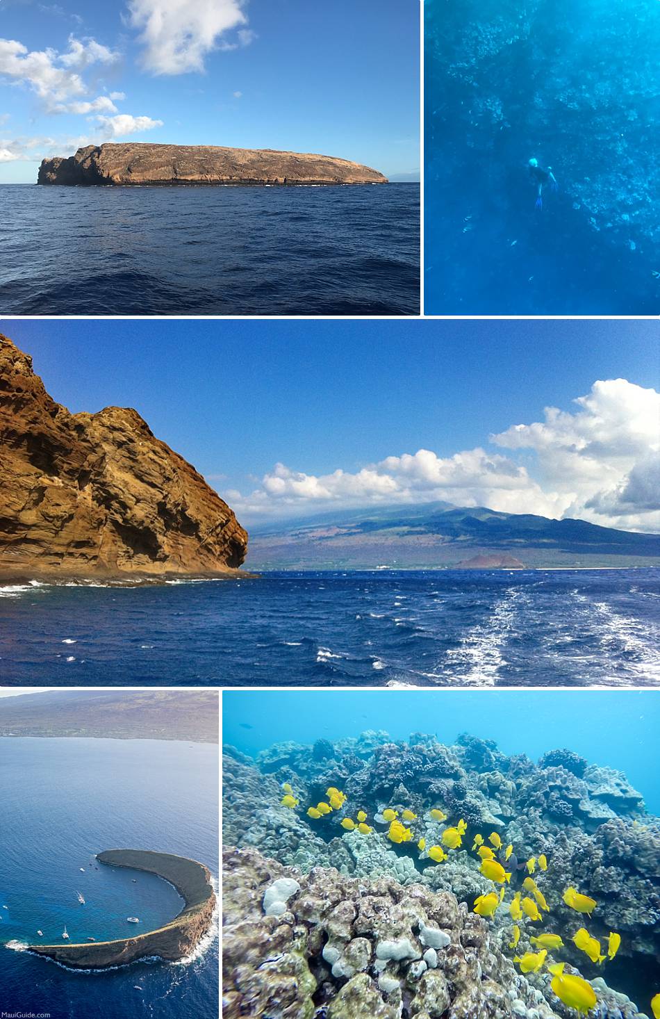 Places on Maui Molokini Adventure