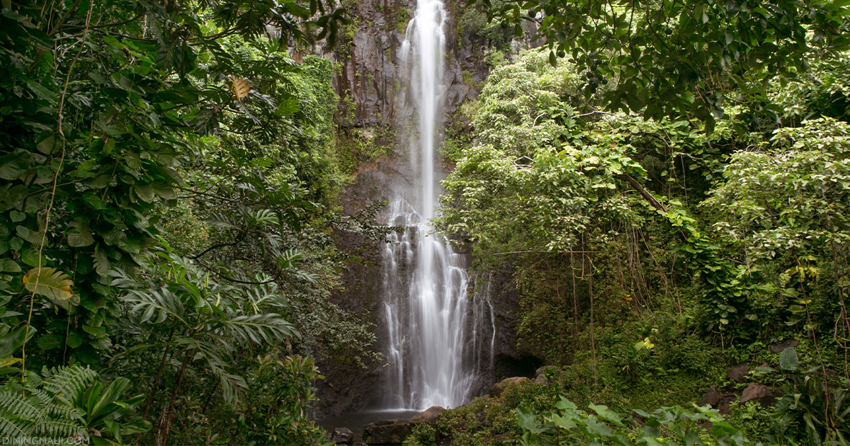 8 Places On Maui The Guidebooks Will Never Tell You About