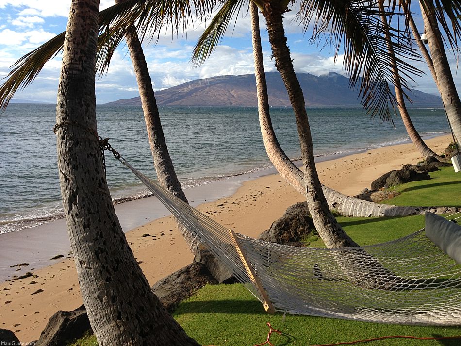 Maui Info Index Hammock