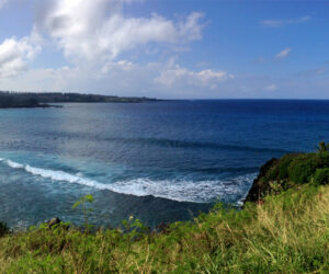 Maui Info Index Honolua Bay