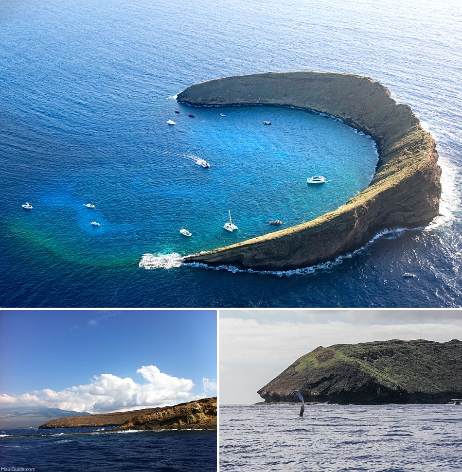 Maui Info Index Molokini