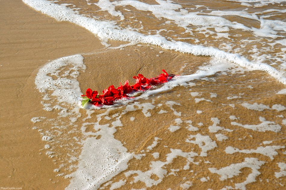 White Rock Beach Lei Water