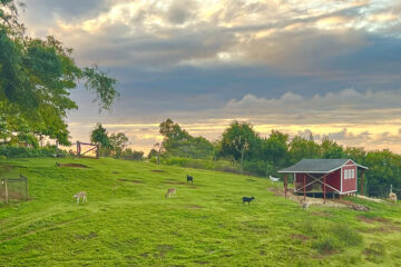 Leilani Farm Tour