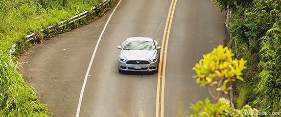 car rentals