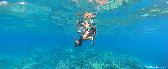 snorkeling Maui