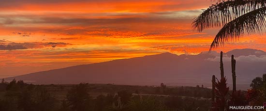 webcams on Maui