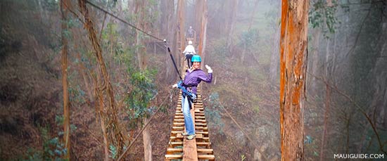 zipline bridge