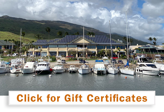 Havens Gift Certs