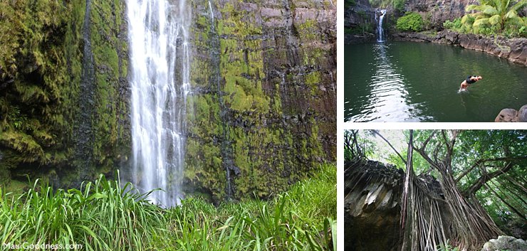 Pipiwai Trail in Hana