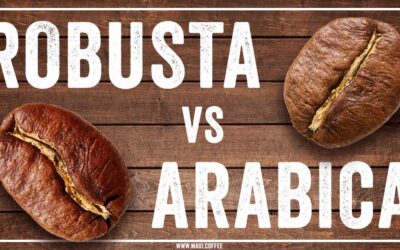 The Rise of Robusta