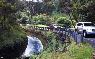 Compare Maui Car Rentals: Rates, Fees and Booking Tips