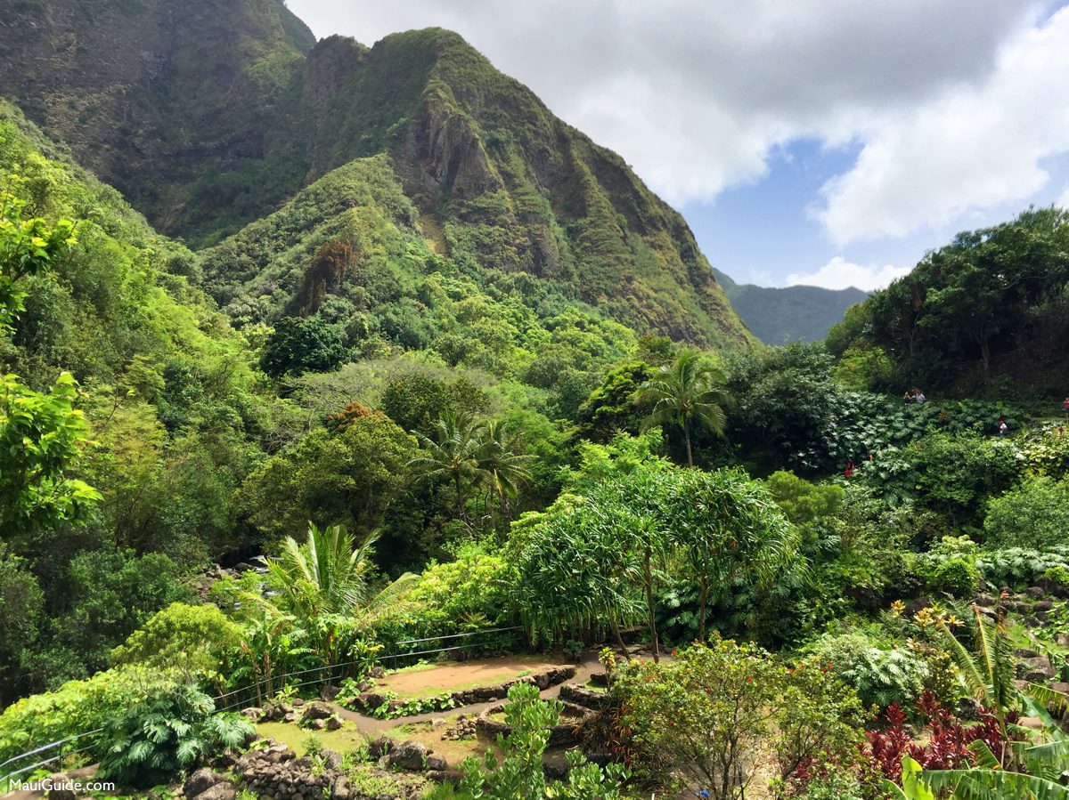 Green mountain walls in Iao Valley