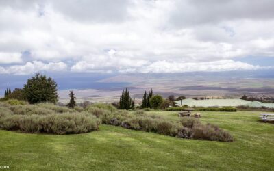Maui Activity Costs