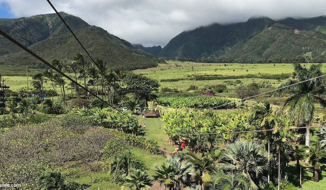 Maui Tropical Plantation Zipline
